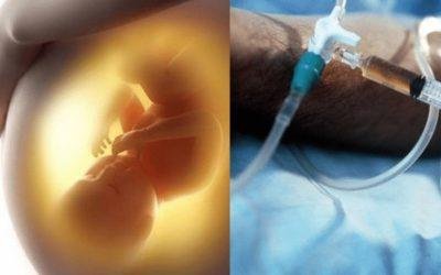 nsc 243. Los umbrales de la existencia