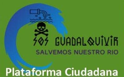 nsc 213 Betis 0 – Vertidos 2 (Ida)