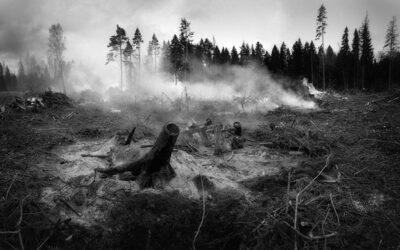 nsc 224. Tierra quemada